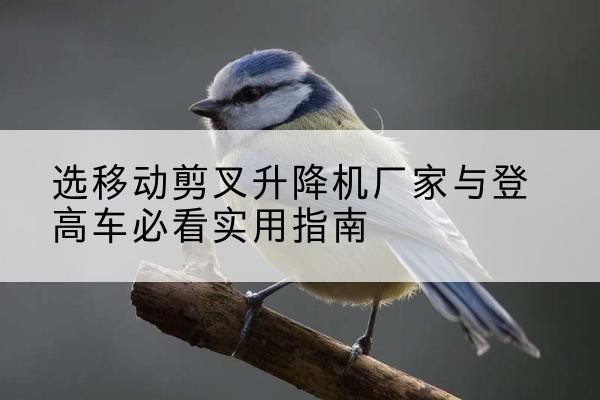 金乡电动升降机厂家-选移动剪叉升降机厂家与登高车必看实用指南