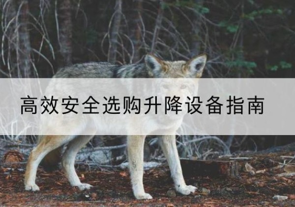 金乡升降货梯厂家推荐-*安全选购升降设备指南