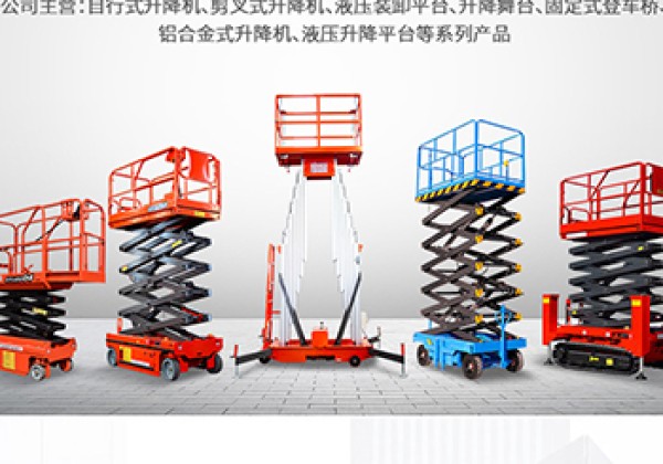 金乡​出口成为核心增长引擎