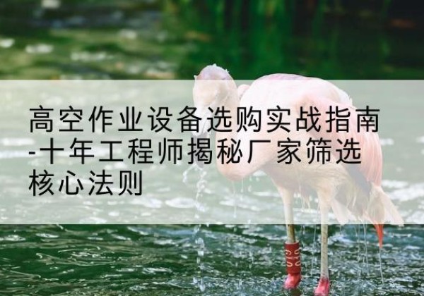 金乡剪叉式升降机厂家-高空作业设备选购实战指南-十年工程师揭秘厂家筛选核心法则